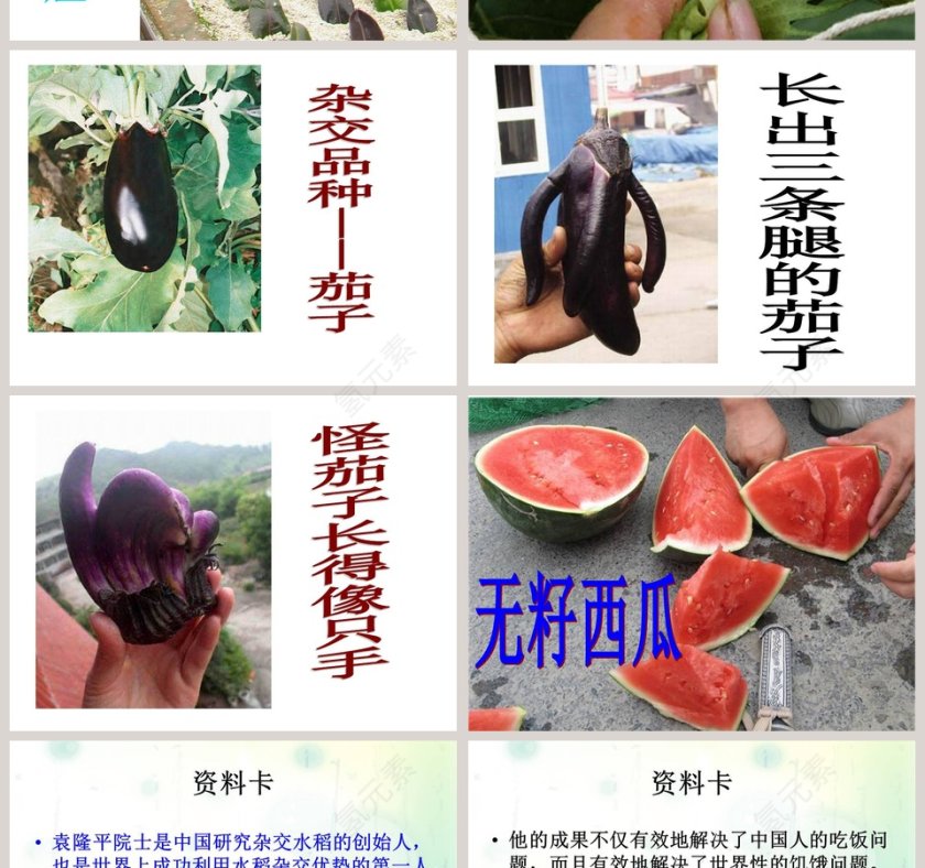 生物繁殖新技术教学ppt课件第6张