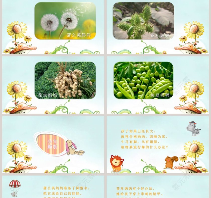植物妈妈有办法ppt第2张