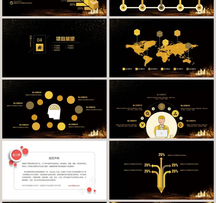 耀世绽放PPT第4张