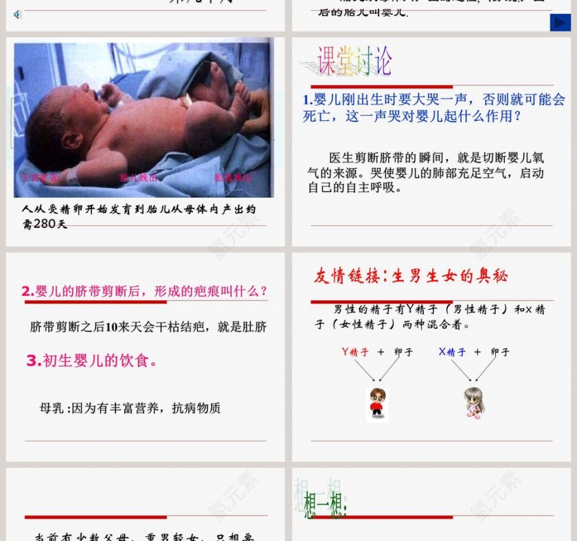 新生命的诞生-第二课时教学ppt课件第4张