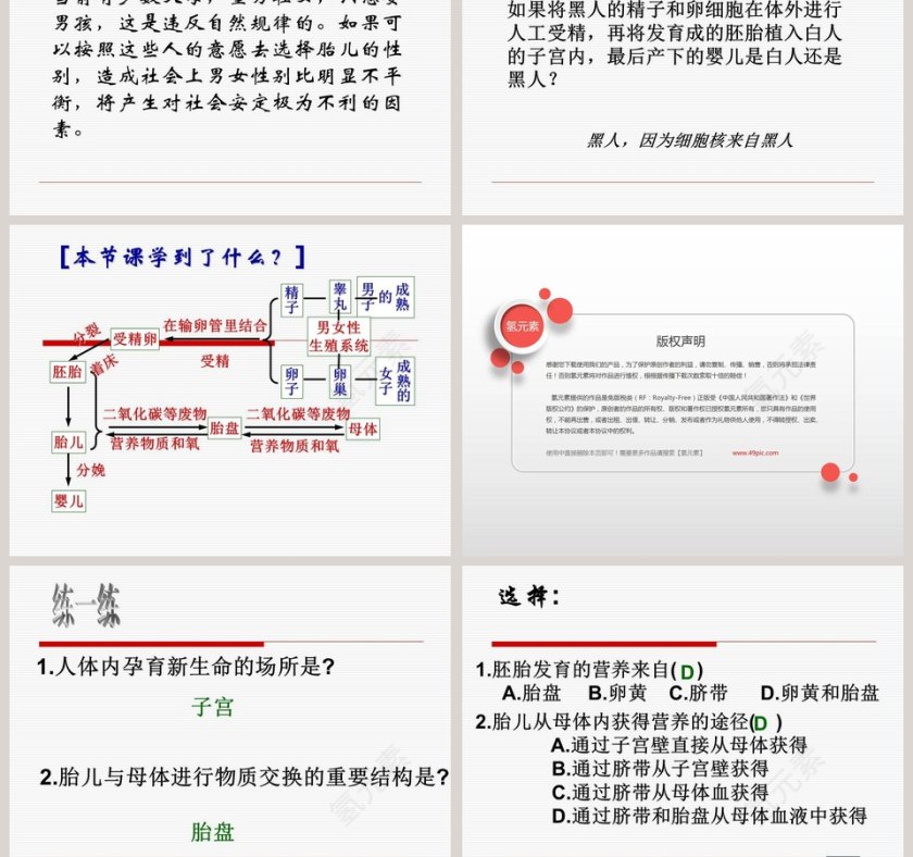 新生命的诞生-第二课时教学ppt课件第5张