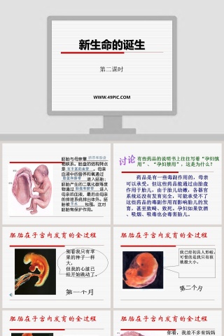 新生命的诞生-第二课时教学ppt课件