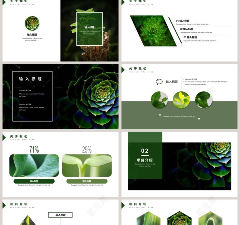 商业计划书项目介绍发展前景PPT 第2张