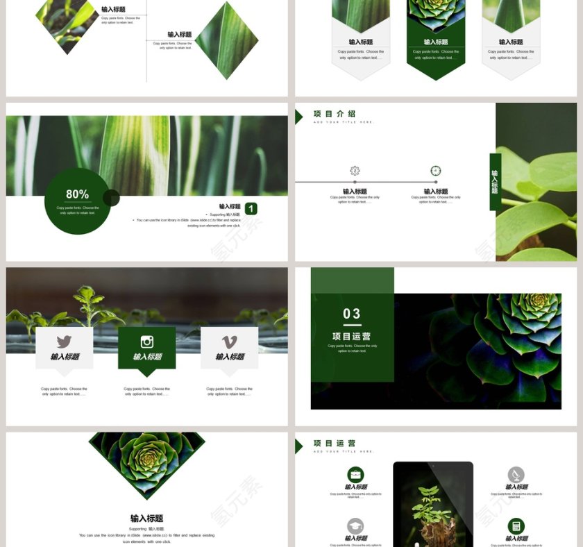 商业计划书项目介绍发展前景PPT 第3张