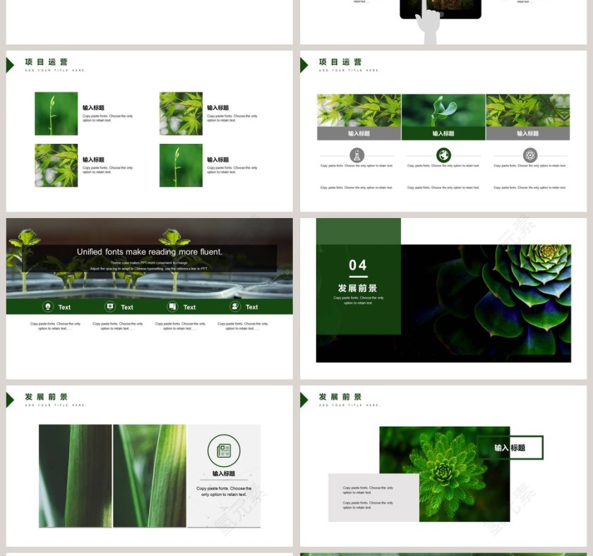 商业计划书项目介绍发展前景PPT 第4张