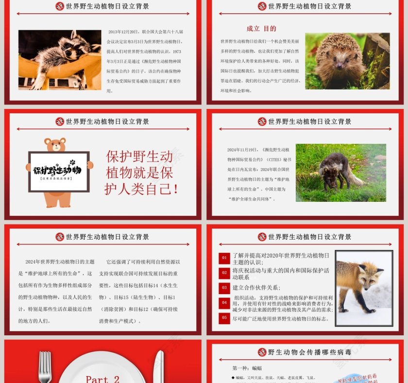 拒绝野味保护野生动物PPT模板第2张