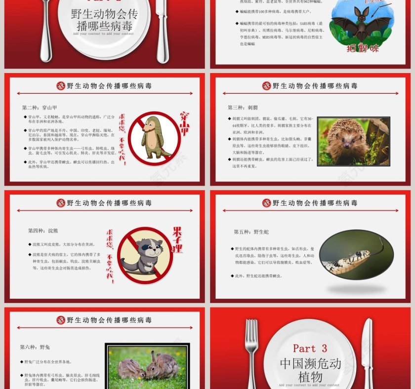 拒绝野味保护野生动物PPT模板第3张