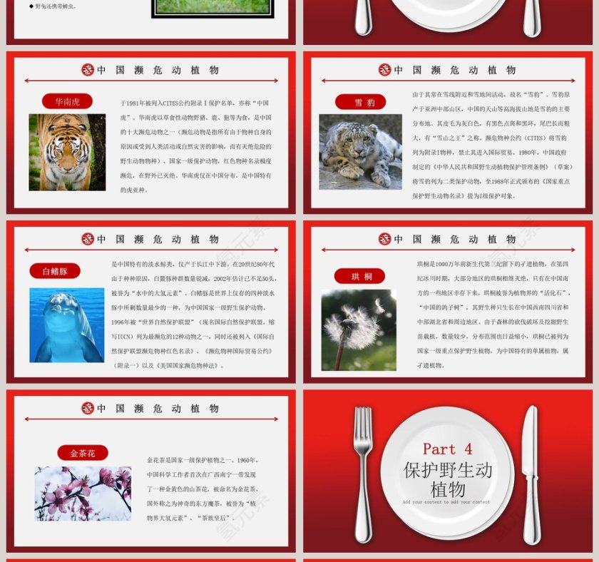 拒绝野味保护野生动物PPT模板第4张