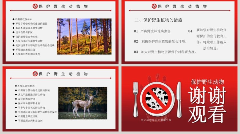 拒绝野味保护野生动物PPT模板第5张