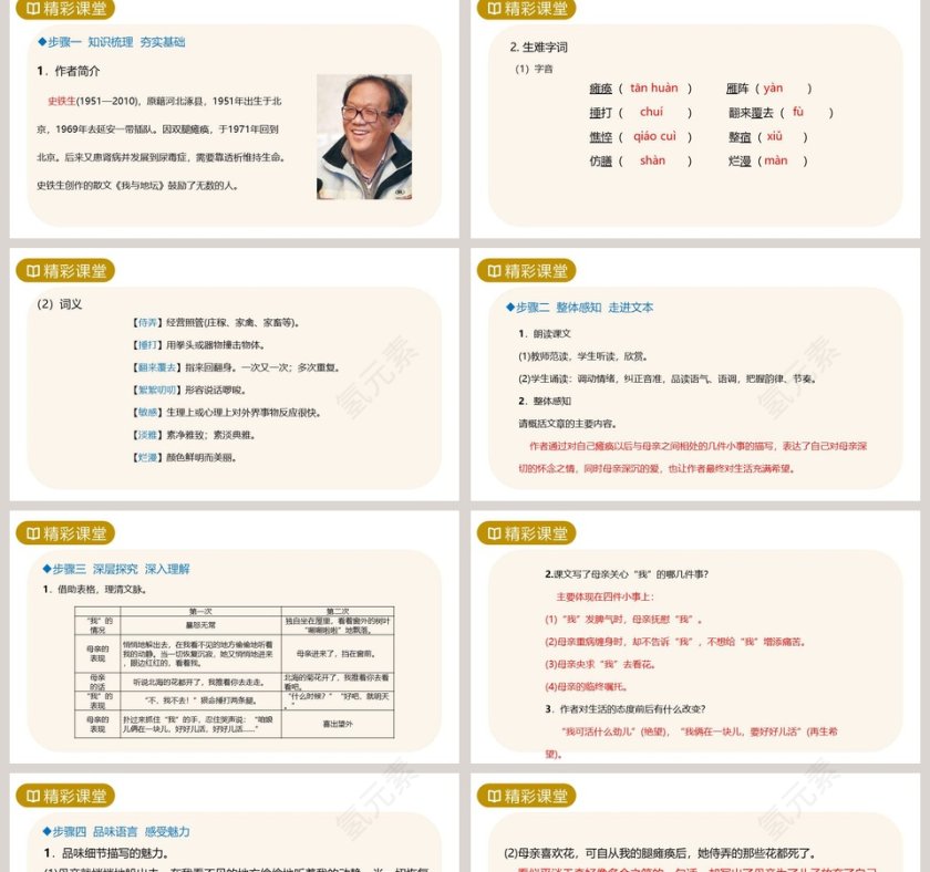 课文解析七年级语文上册秋天的怀念语文课件PPT第2张
