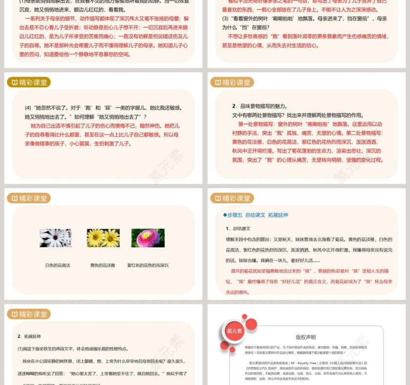 课文解析七年级语文上册秋天的怀念语文课件PPT第3张