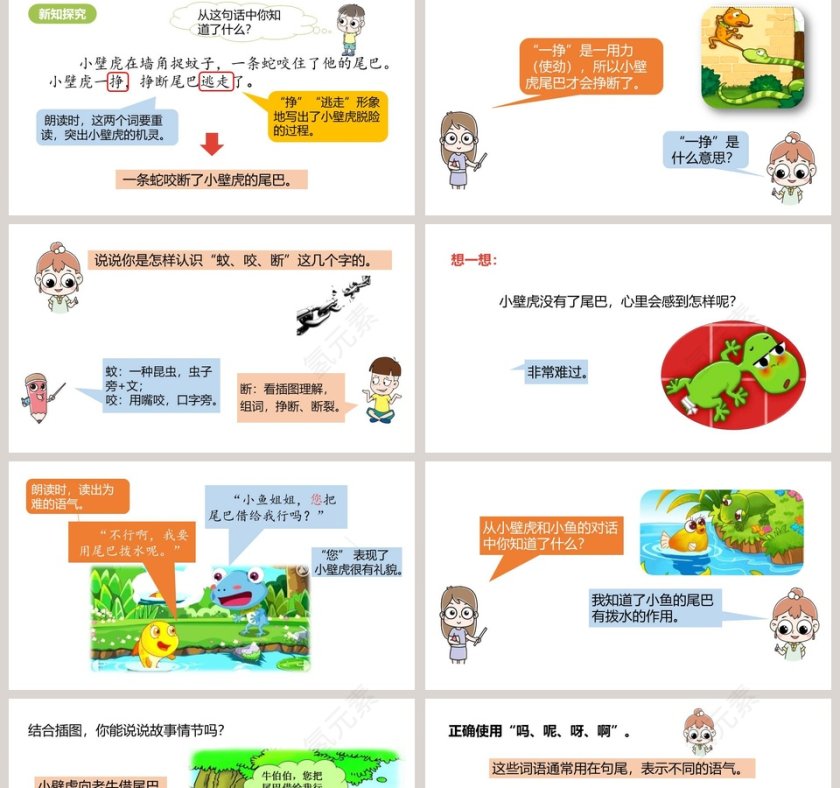 小壁虎借尾巴语文PPT课件第2张