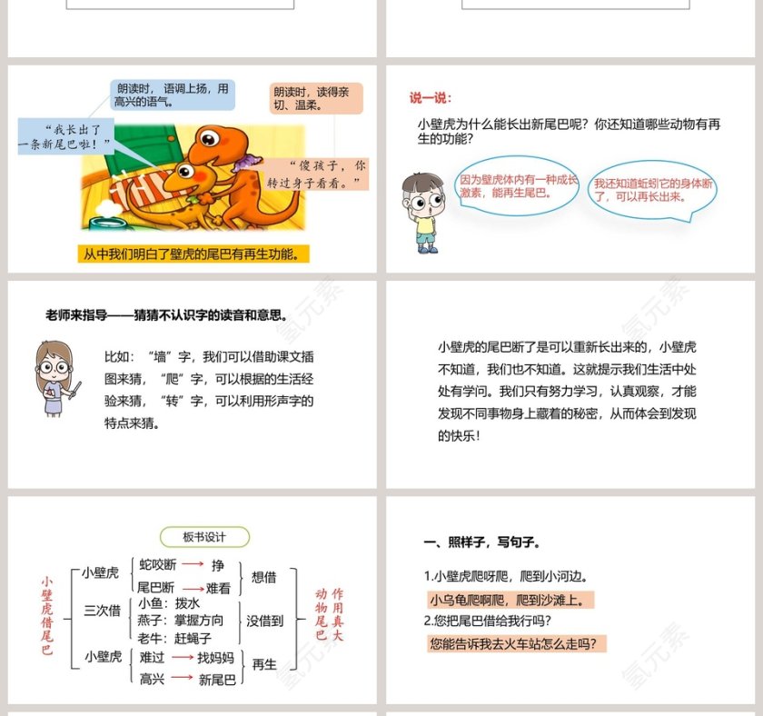 小壁虎借尾巴语文PPT课件第4张