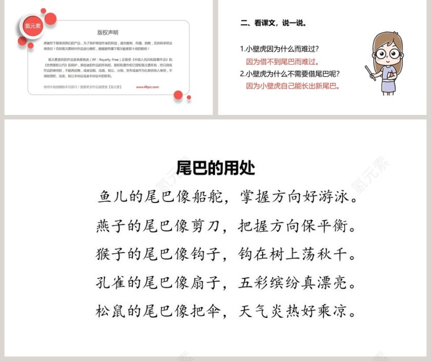 小壁虎借尾巴语文PPT课件第5张