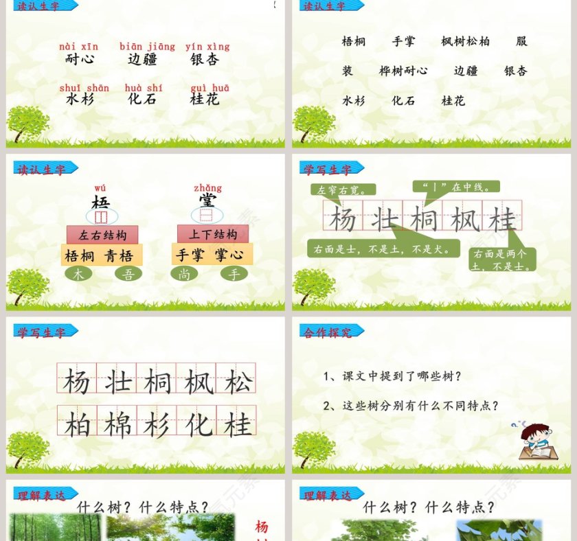 教师说课树之歌语文课件PPT第2张