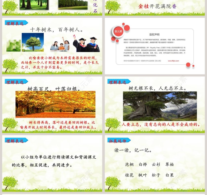 教师说课树之歌语文课件PPT第4张