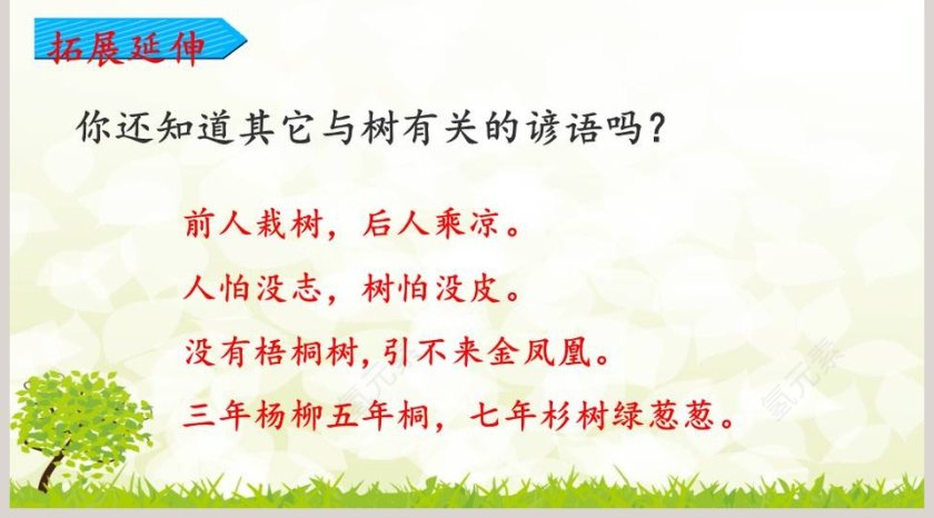 教师说课树之歌语文课件PPT第5张