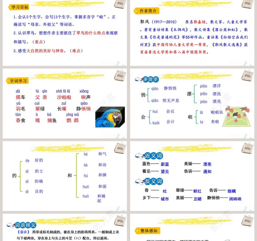 课文解析三年级语文上册搭船的鸟语文课件PPT第2张