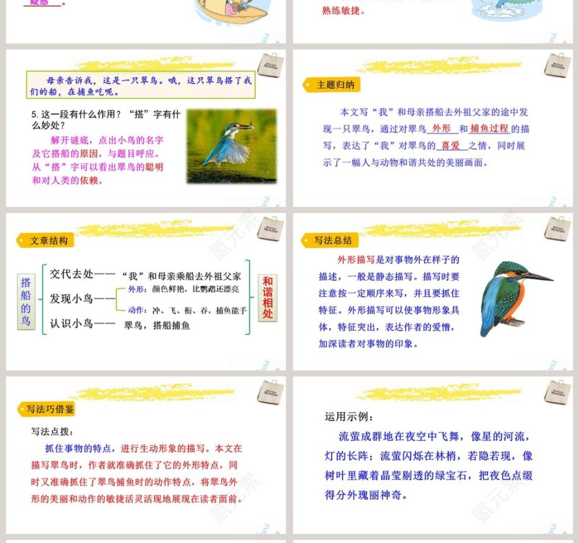 课文解析三年级语文上册搭船的鸟语文课件PPT第4张