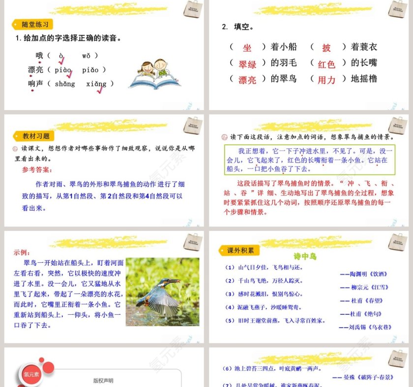 课文解析三年级语文上册搭船的鸟语文课件PPT第5张