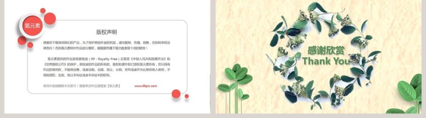 小清新风格绿色植物背景个人竞聘简历第5张