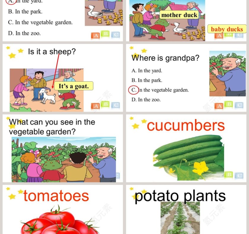 Unit 5  Country Life-How many ducks do you have教学ppt课件第3张