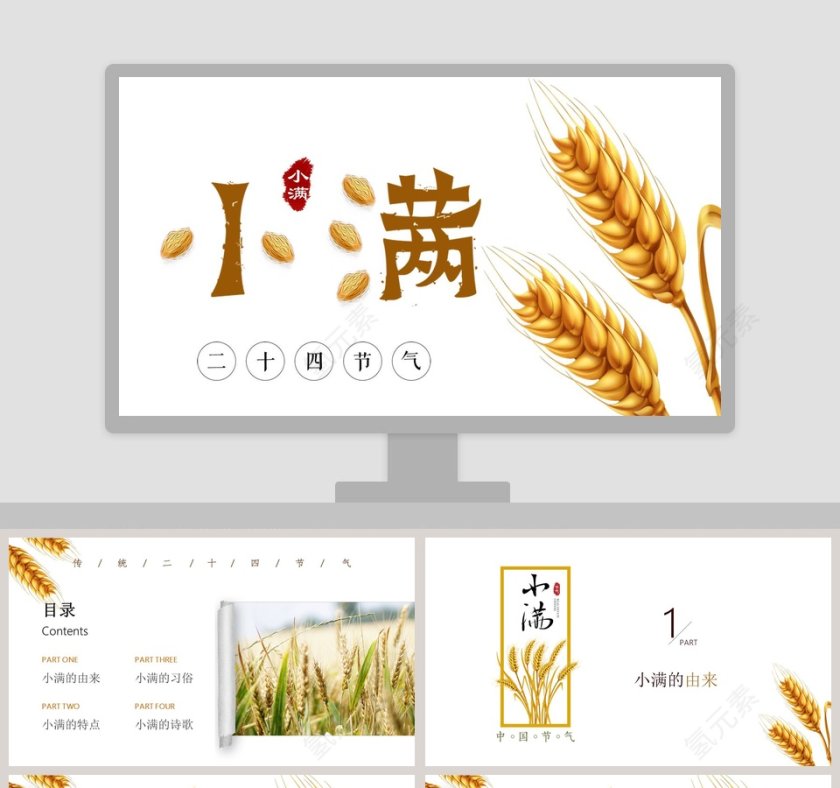 简约风麦穗中国二十四节气小满介绍PPT模板 第1张