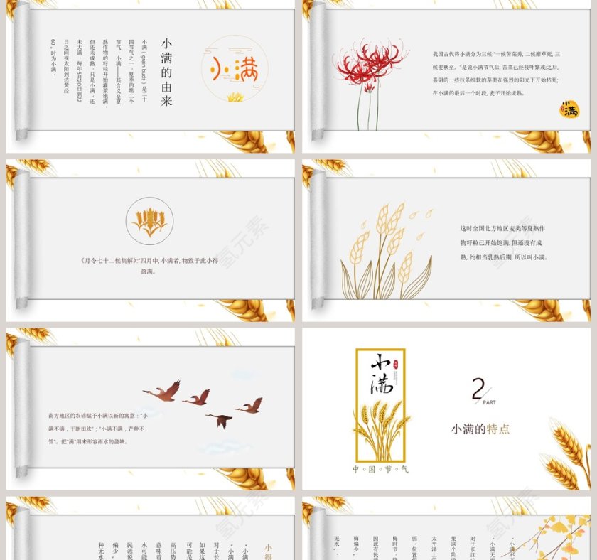 简约风麦穗中国二十四节气小满介绍PPT模板 第2张