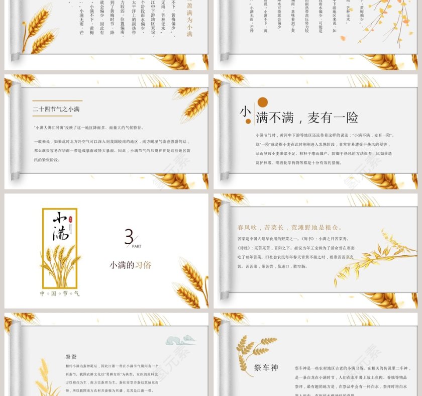 简约风麦穗中国二十四节气小满介绍PPT模板 第3张