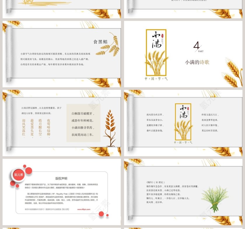 简约风麦穗中国二十四节气小满介绍PPT模板 第4张