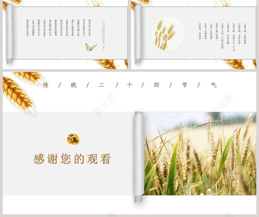 简约风麦穗中国二十四节气小满介绍PPT模板 第5张