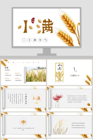 简约风麦穗中国二十四节气小满介绍PPT模板 