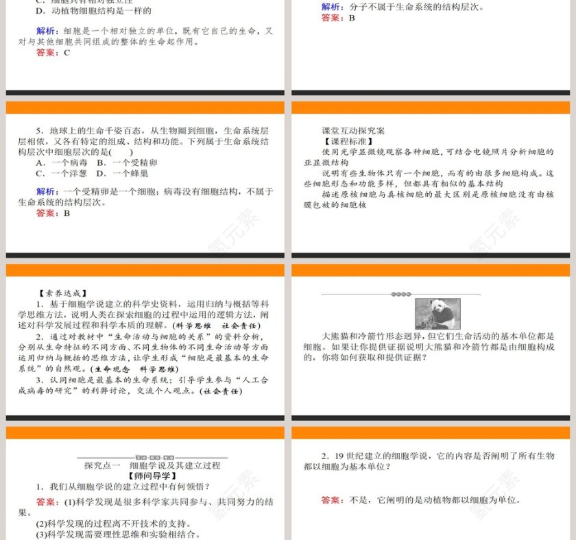 第-节细胞是生命活动的基本单位教学ppt课件第3张