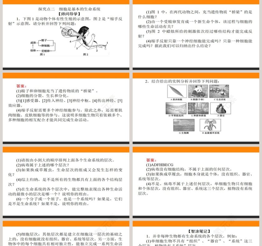 第-节细胞是生命活动的基本单位教学ppt课件第5张