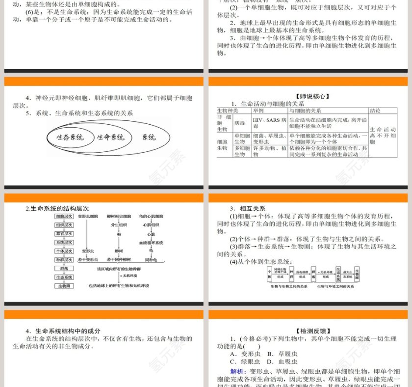 第-节细胞是生命活动的基本单位教学ppt课件第6张