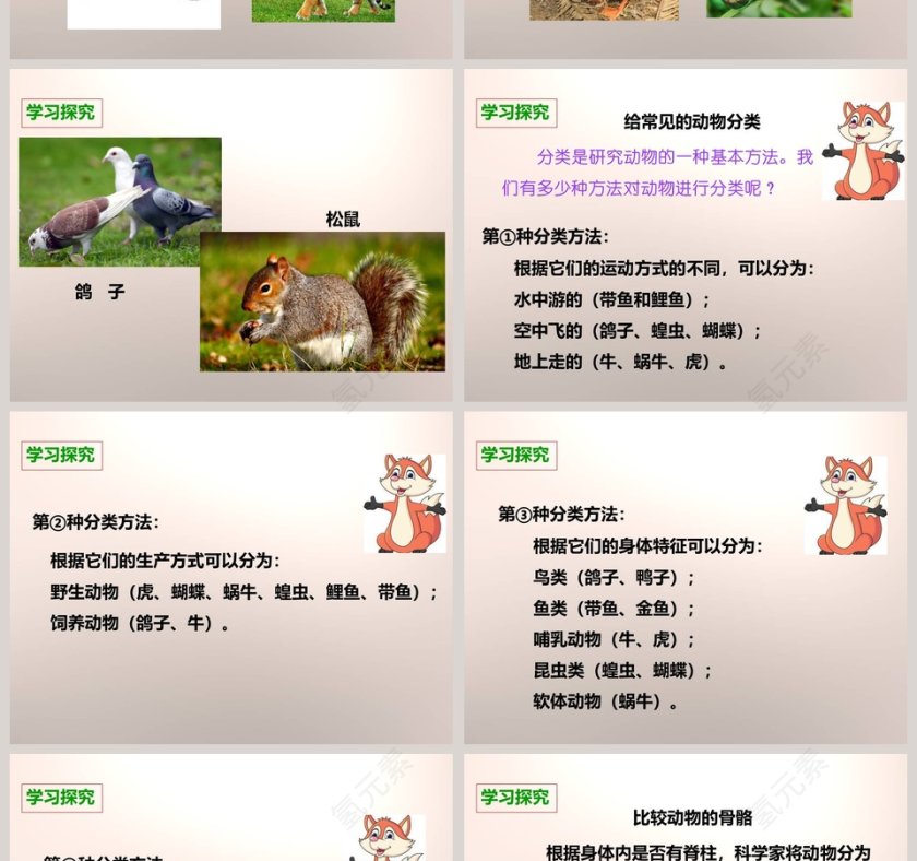 教科版   六年级上册-种类繁多的动物教学ppt课件第2张