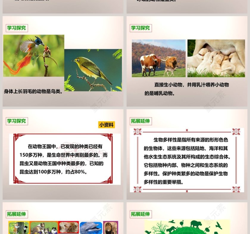 教科版   六年级上册-种类繁多的动物教学ppt课件第4张