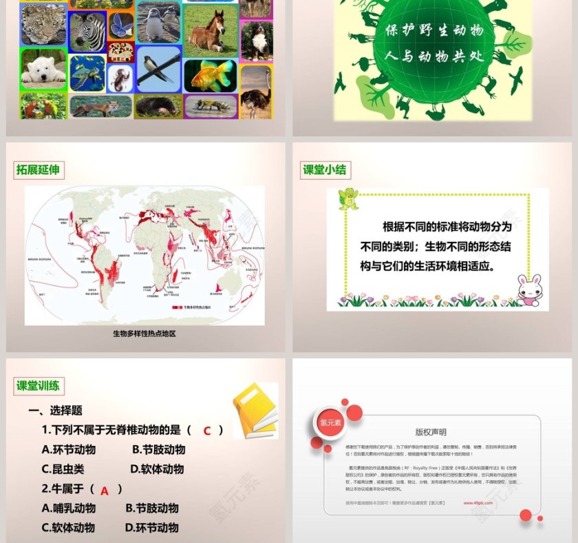 教科版   六年级上册-种类繁多的动物教学ppt课件第5张