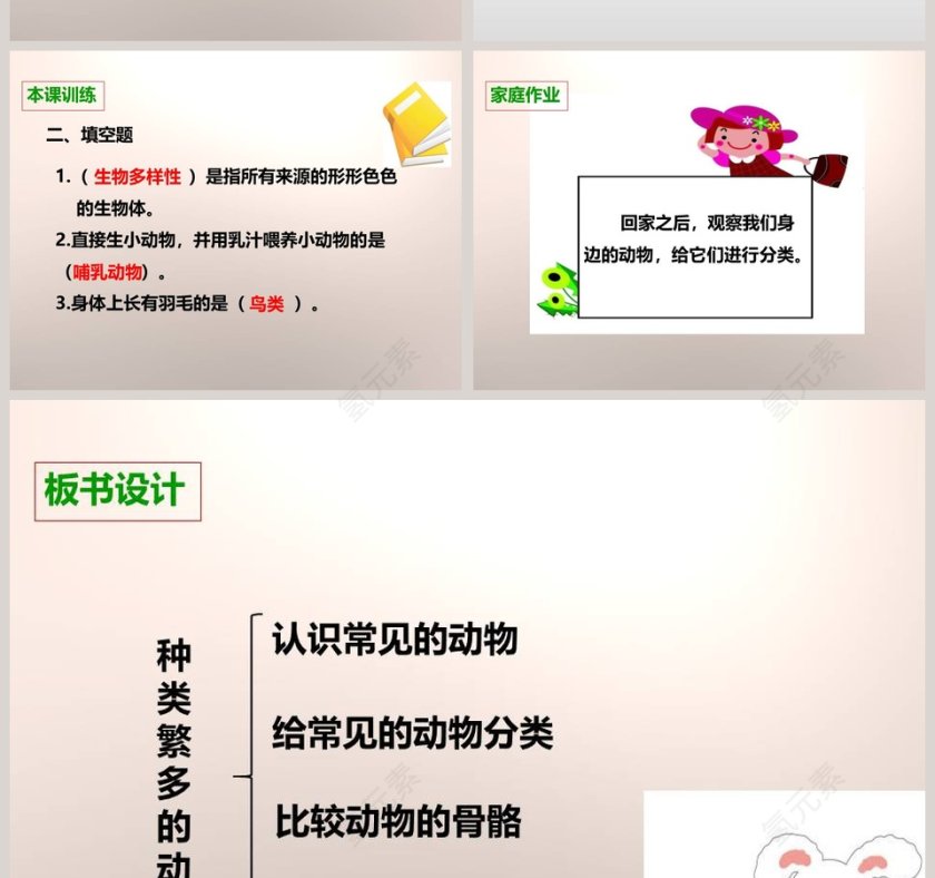 教科版   六年级上册-种类繁多的动物教学ppt课件第6张