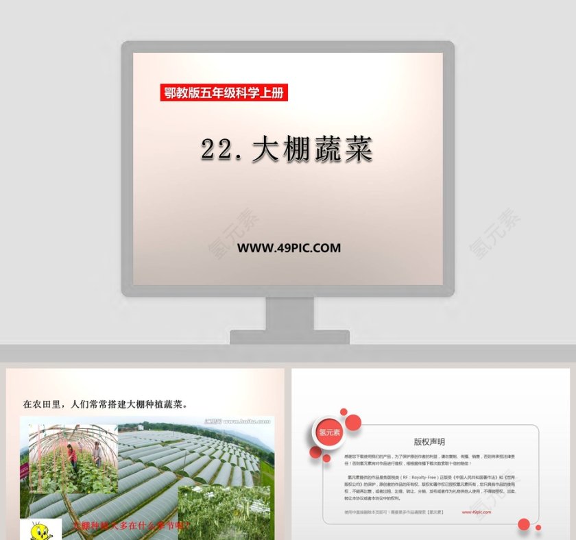 22大棚蔬菜鄂教版五年级科学上册PPT模板第1张