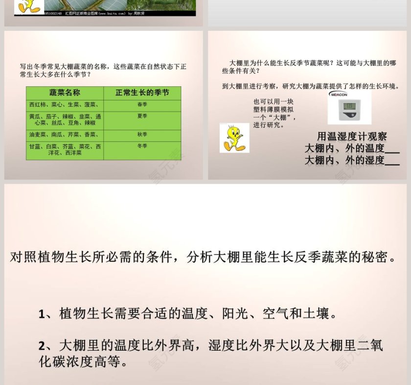22大棚蔬菜鄂教版五年级科学上册PPT模板第2张