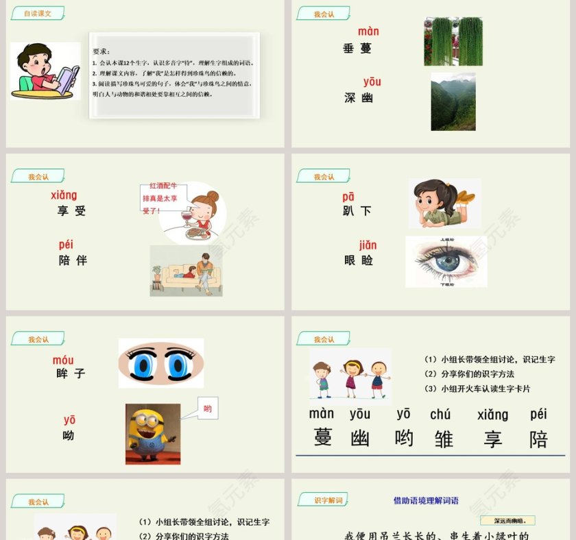 课文解析珍珠鸟语文课件PPT第2张