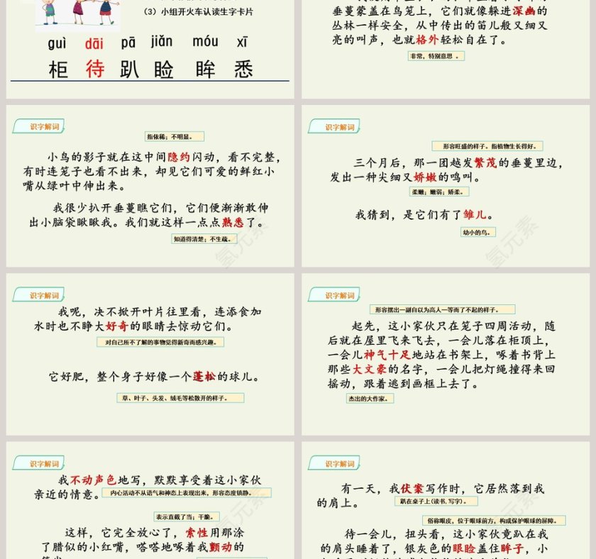 课文解析珍珠鸟语文课件PPT第3张