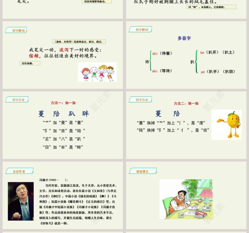 课文解析珍珠鸟语文课件PPT第4张