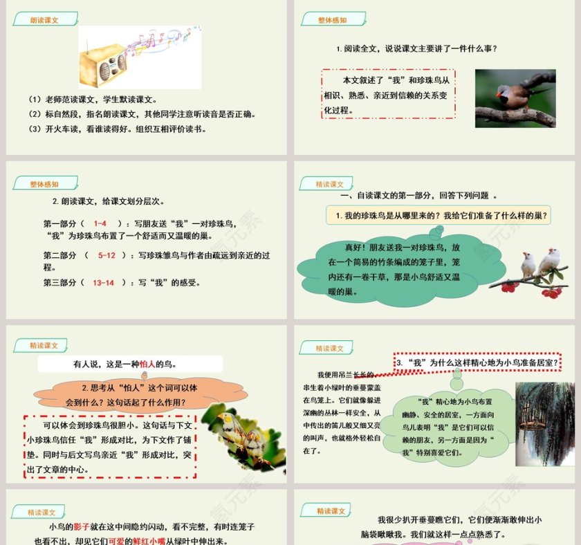课文解析珍珠鸟语文课件PPT第5张