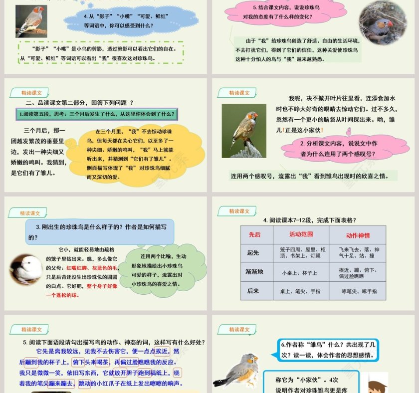 课文解析珍珠鸟语文课件PPT第6张
