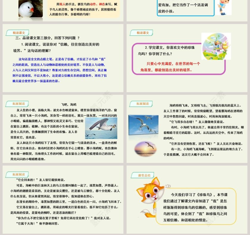 课文解析珍珠鸟语文课件PPT第7张