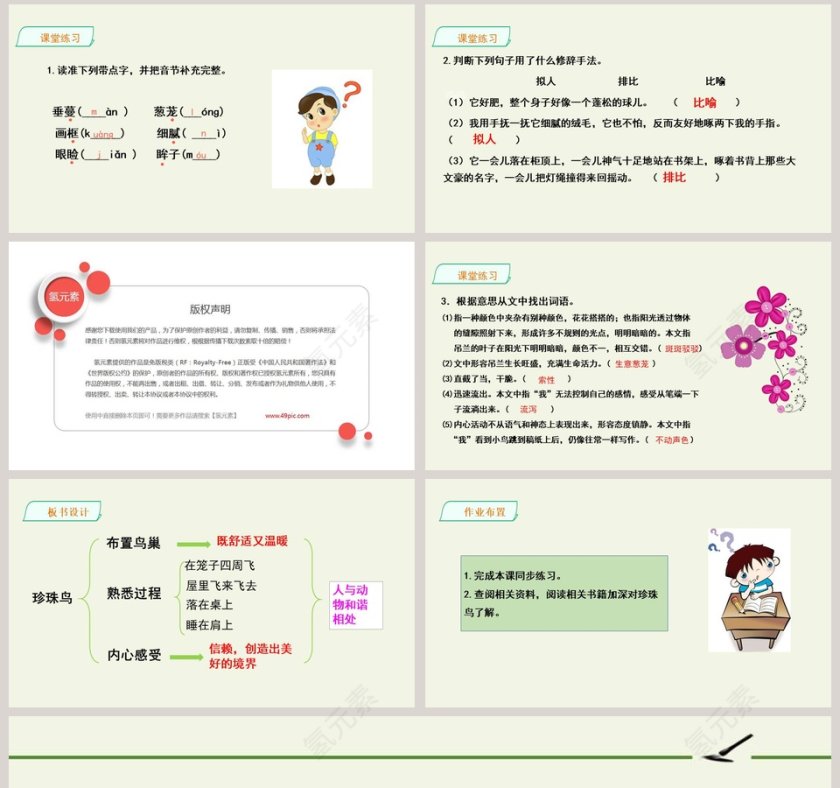 课文解析珍珠鸟语文课件PPT第8张