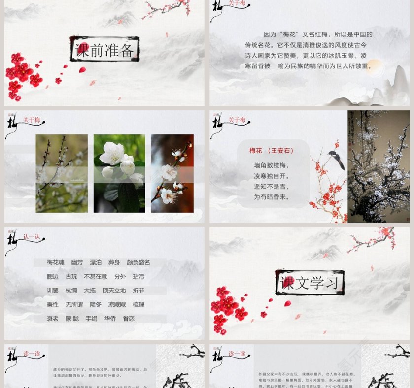 五年级语文课件PPT梅花魂第2张