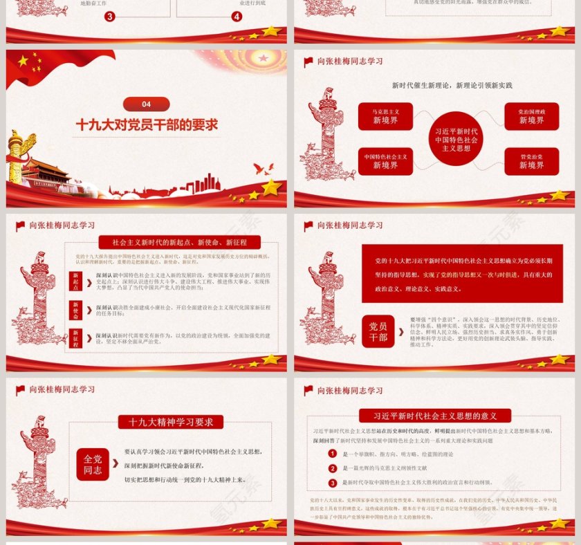 向张桂梅同志学习专题党课PPT模板第4张